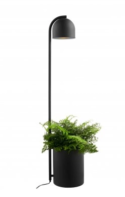 Botanica XL