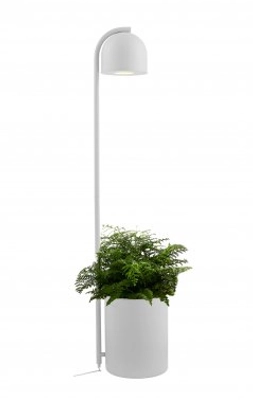 Botanica XL